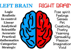 right brain and left brain stimulation